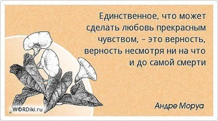 Легкая промышленность