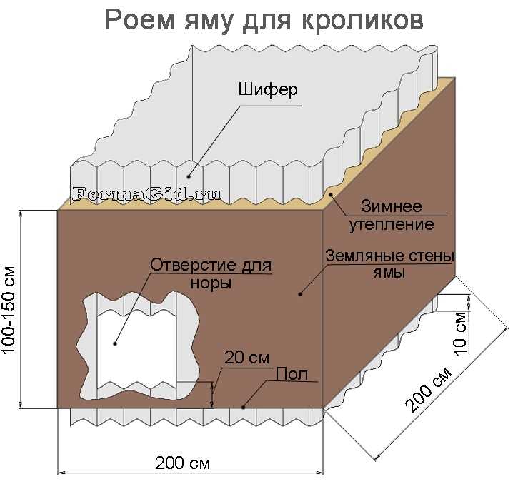 Эффективное разведение кроликов как бизнес | cельхозпортал