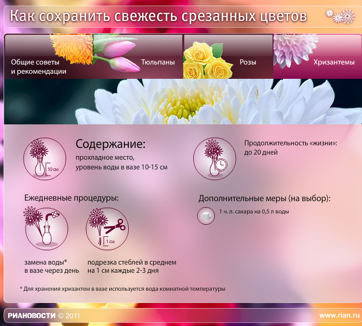 Чтобы розы стояли дольше достаточно знать всего 5 секретов хранения