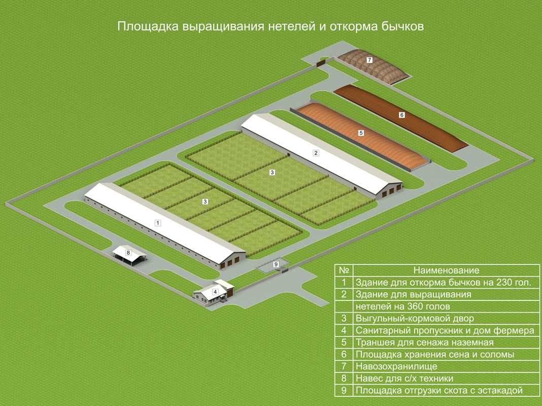 Бизнес план козоводческой фермы