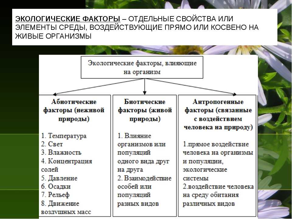 Примеры действия экологических факторов на организм