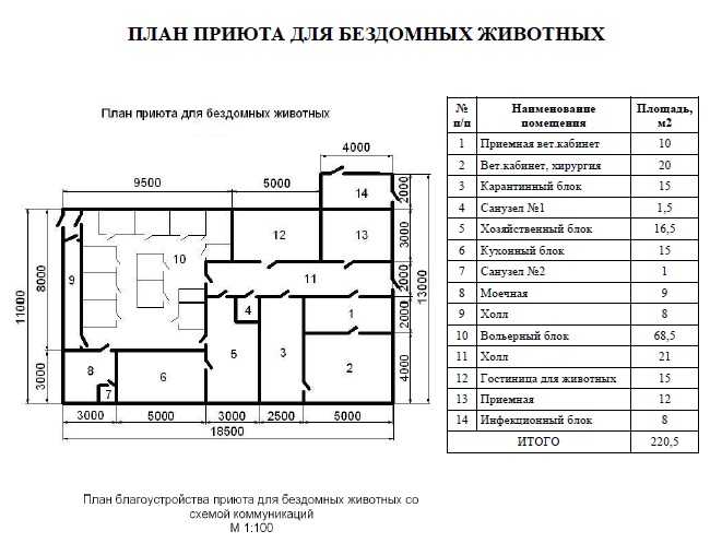 Как открыть приют для животных: пошаговое руководство