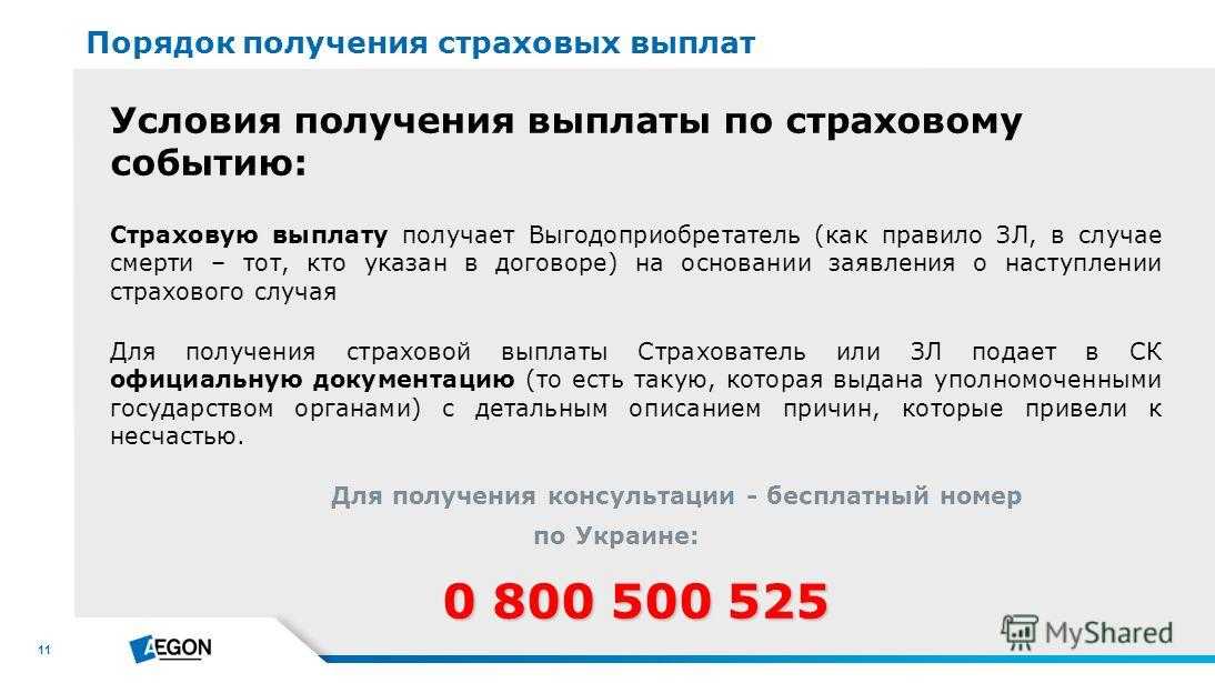 Как открыть страховую компанию: выбор ниши и организация бизнеса