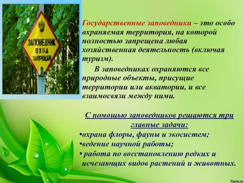 Проблема бездомных животных и пути ее решения. справка