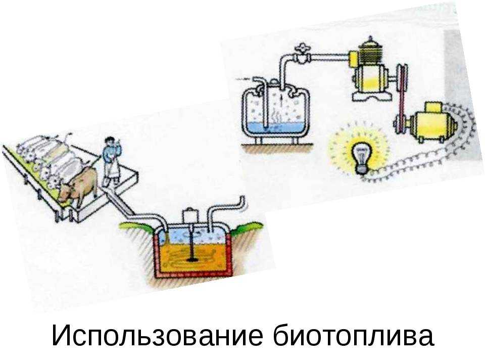 Биодизель: особенности биотоплива