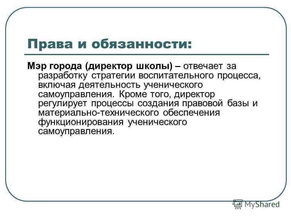Образец должностной инструкции директора школы в 2023 году