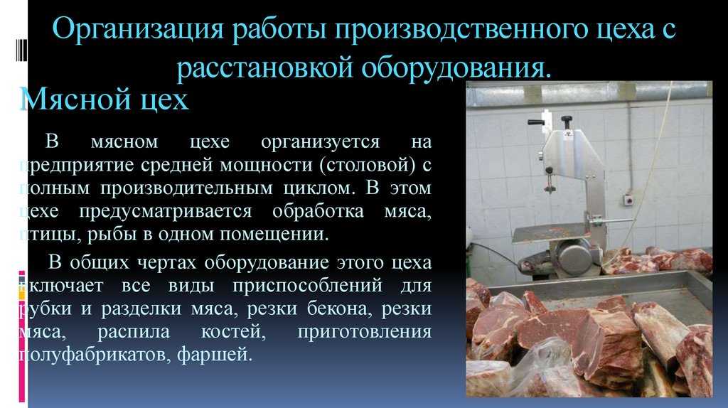 § 3. механическая и тепловая обработка мяса