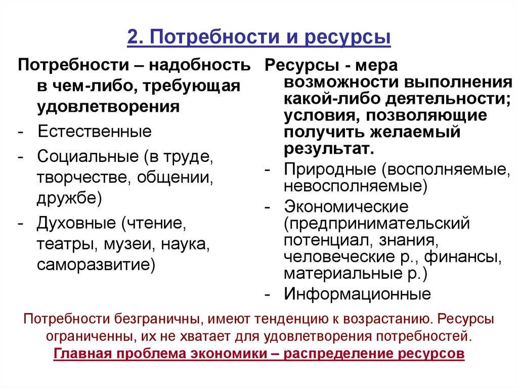 Разработка нового товара: поэтапный процесс и потребительская оценка