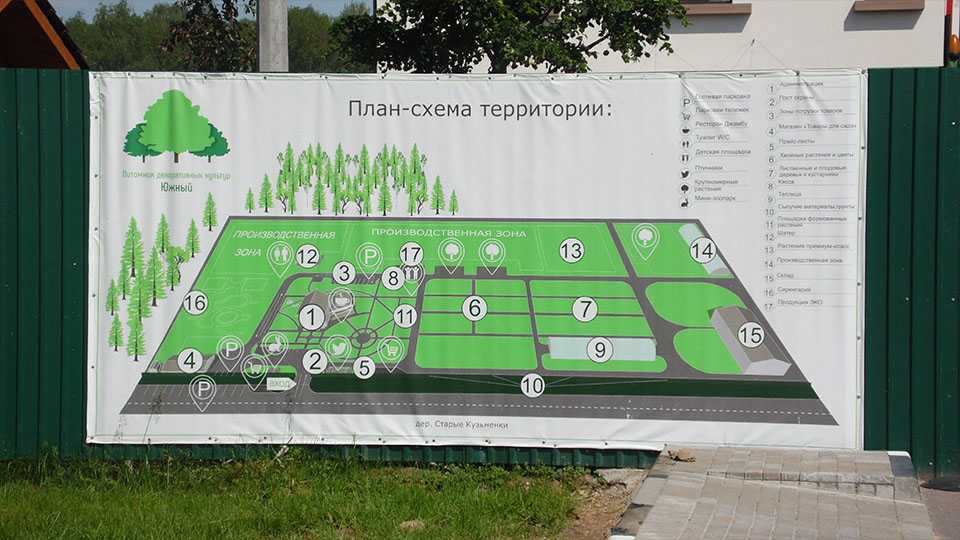 Топ-8 составляющих бизнес-плана питомника растений