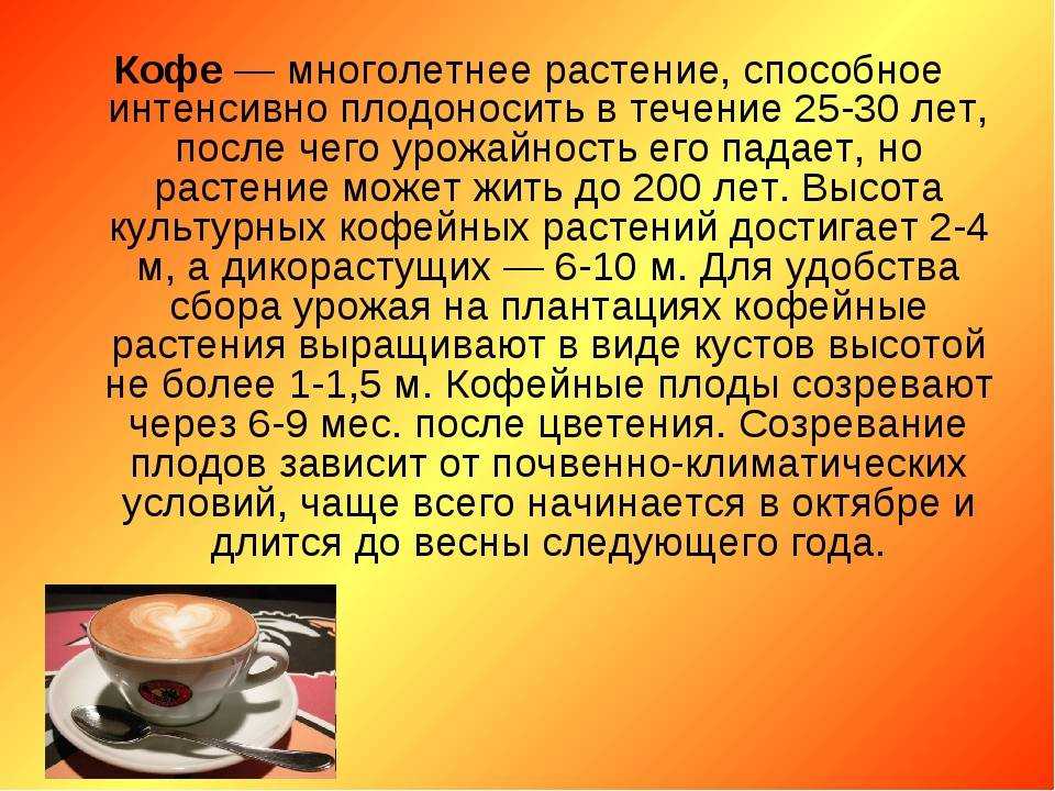 5 coffee. Интересные факты о кофе. Рассказ про кофе. Интересные истории про кофе. Кофе для презентации.