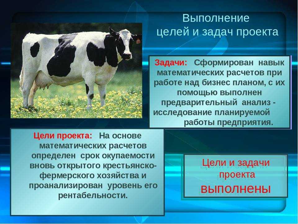 Открытие фермы бизнес план