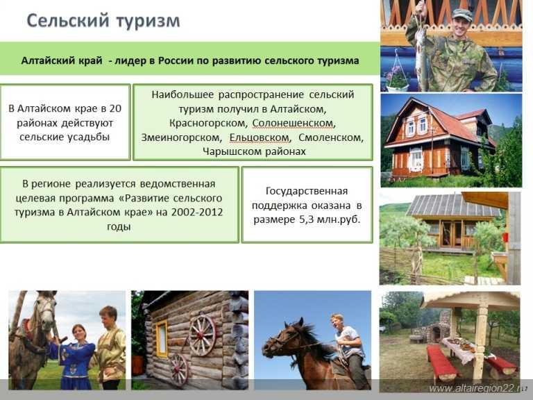 Сельский туризм: виды, особенности, история развития, бизнес