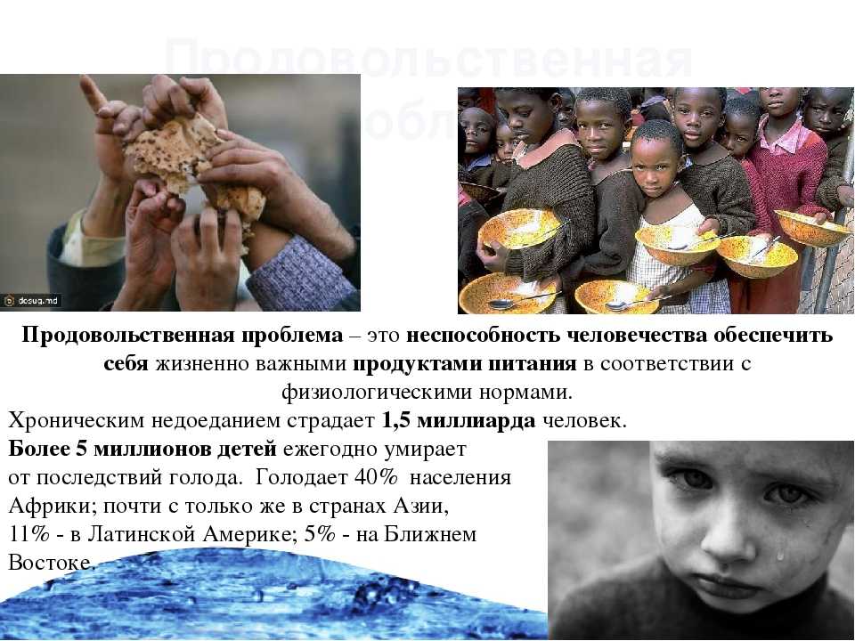 Голод и голод решили. Продовольственная проблема. Пути решения голода в мире. Продовольствие проблемы человечества. Глобальная продовольственная проблема.
