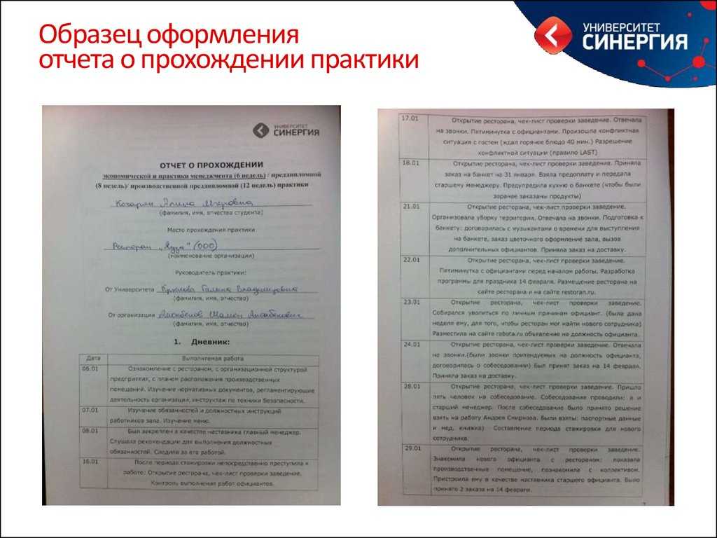 Дневник стажера образец