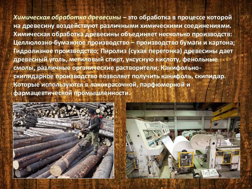 Переработка древесины: комплексная утилизация деревянных отходов