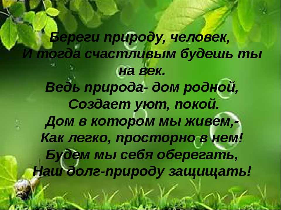 Стих об охране природы. Берегите природу. Стихи о природе. Стихи о бережном отношении к природе. Стихотворение берегите природу.