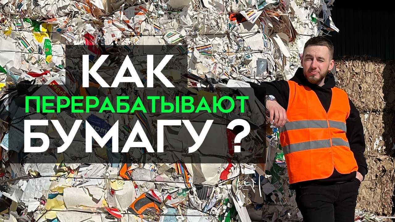 Бизнес на макулатуре – как открыть с нуля, сколько можно заработать