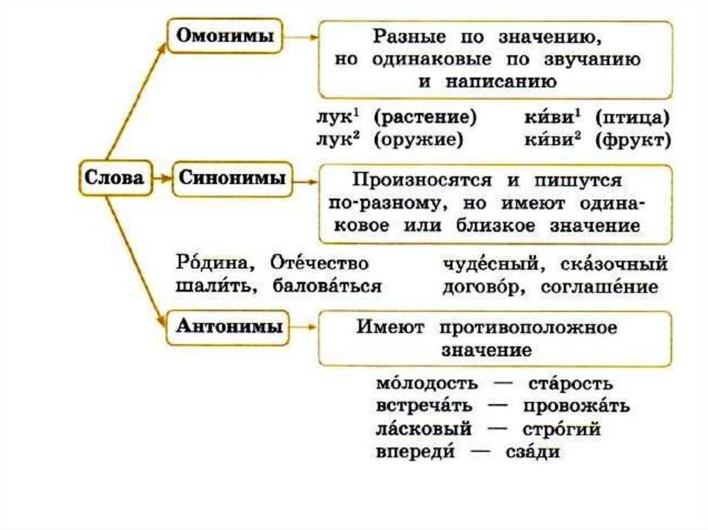 Карта слов примеры предложений