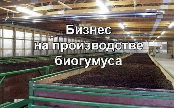 Собственный бизнес: производство биогумуса. бизнес-план производства биогумуса: расчет затрат и необходимые документы