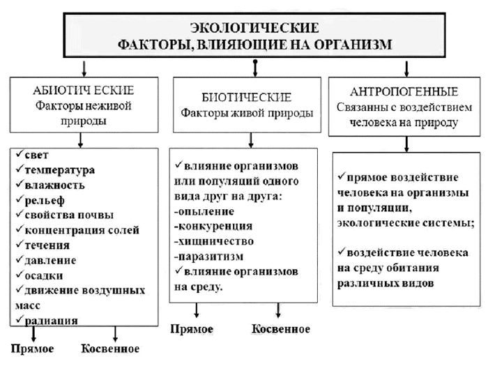 Природная среда. доклад. экология. 2009-01-12