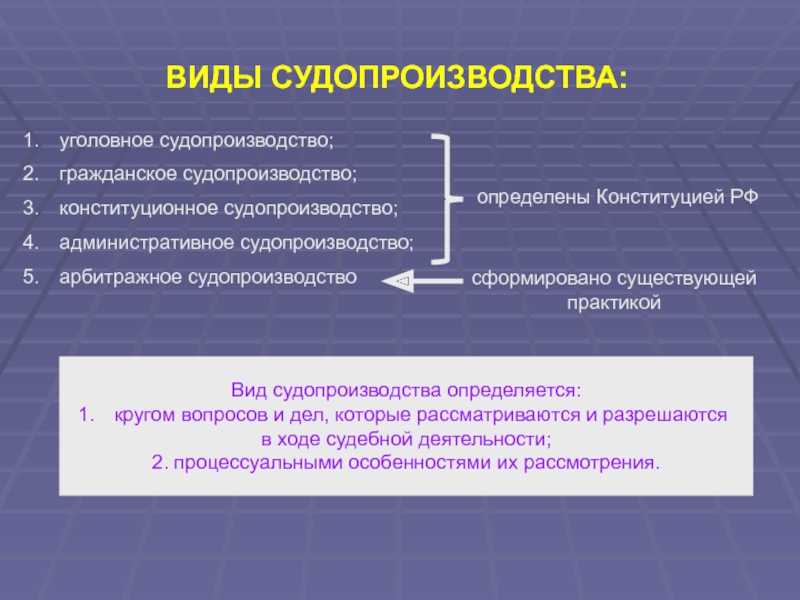 Конституционное судопроизводство план