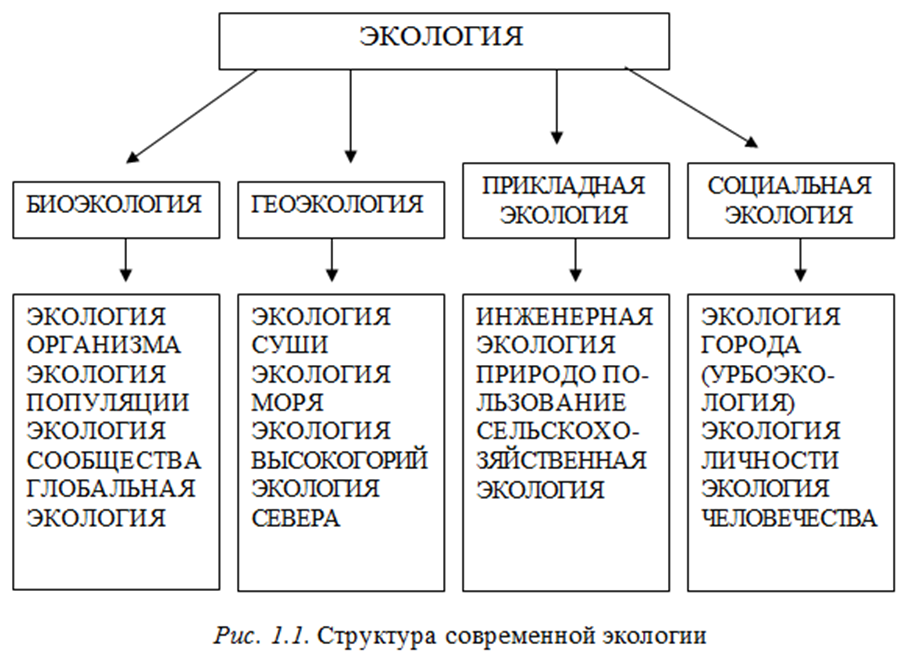 Факторы и формы воздействия общества на окружающую среду схема