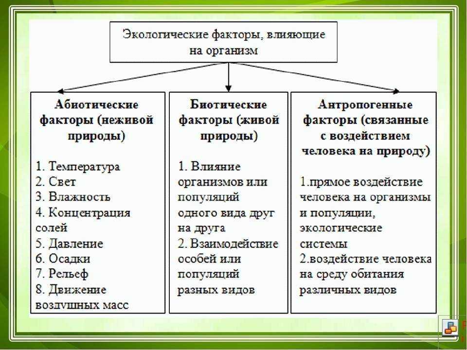 Вредные факторы среды обитания в современных условиях схема