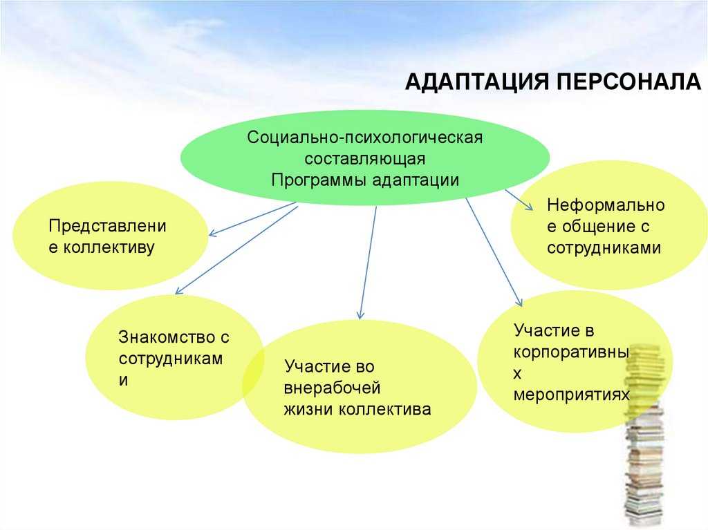 Какие виды адаптации выходят на первый план в данной ситуации