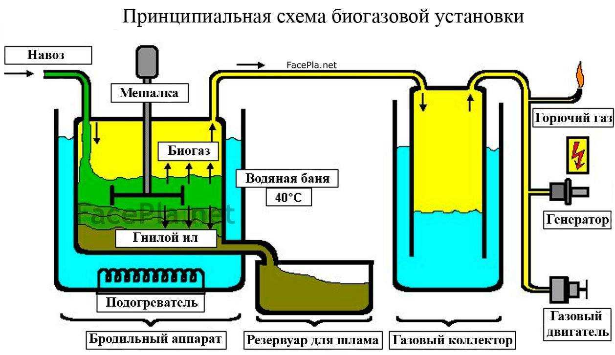 Биодизель: технология производства, сырье, преимущества, недостатки