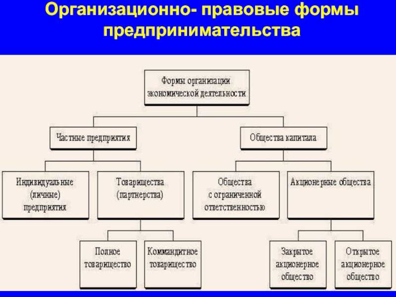 Виды бизнеса схема