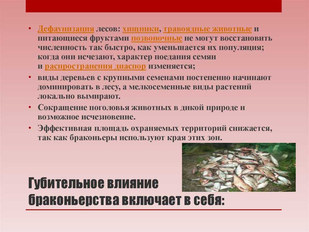 Штрафы за браконьерство 2021 в россии