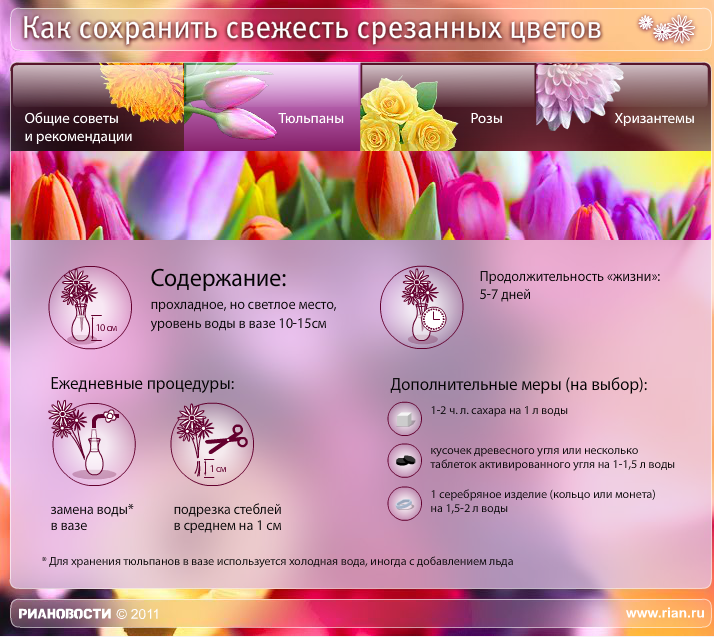 Как сохранить срезанные цветы дольше: советы и рекомендации :: инфониак
