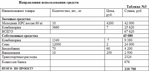 Бизнес план агротуризм пример