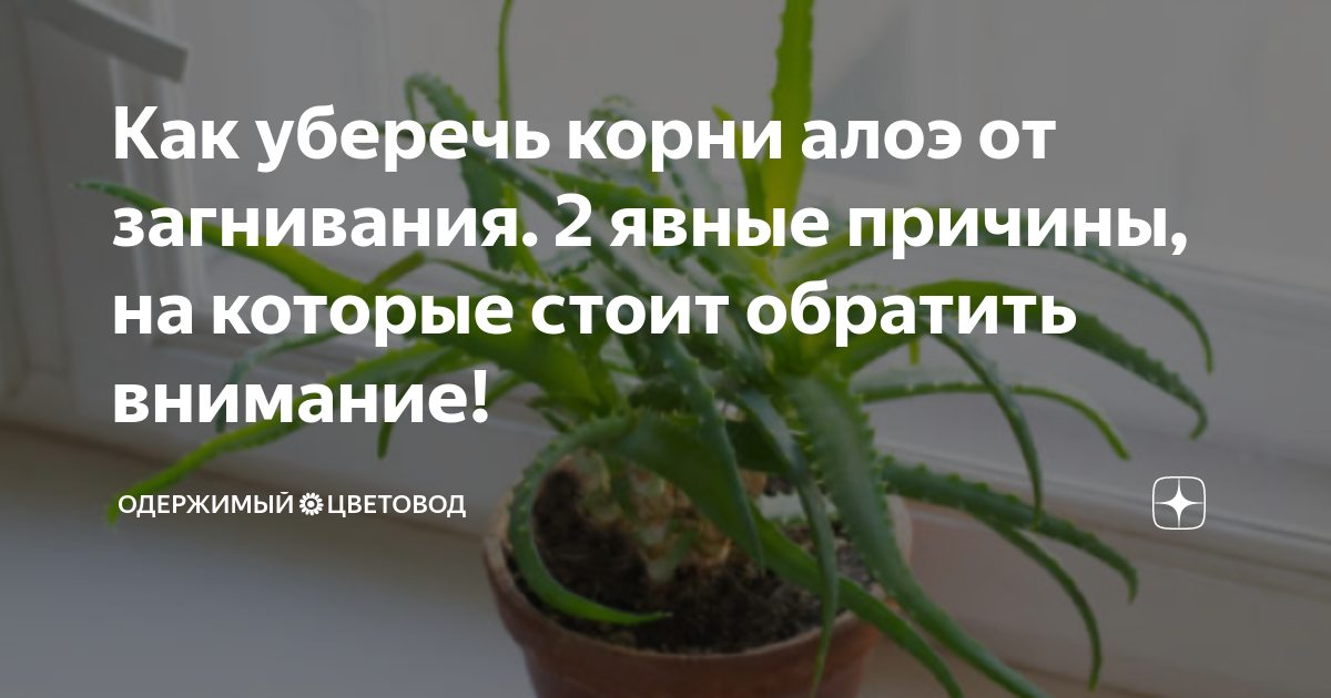Обществознание 6 класс учебник боголюбов стр 73
