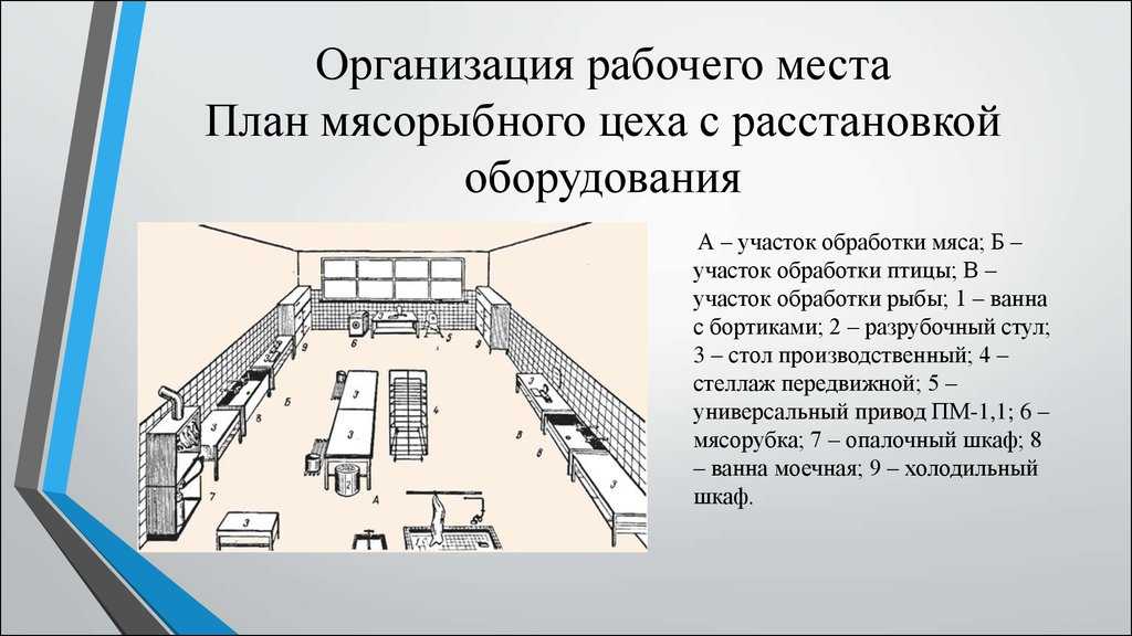 Организация работы мясного цеха презентация