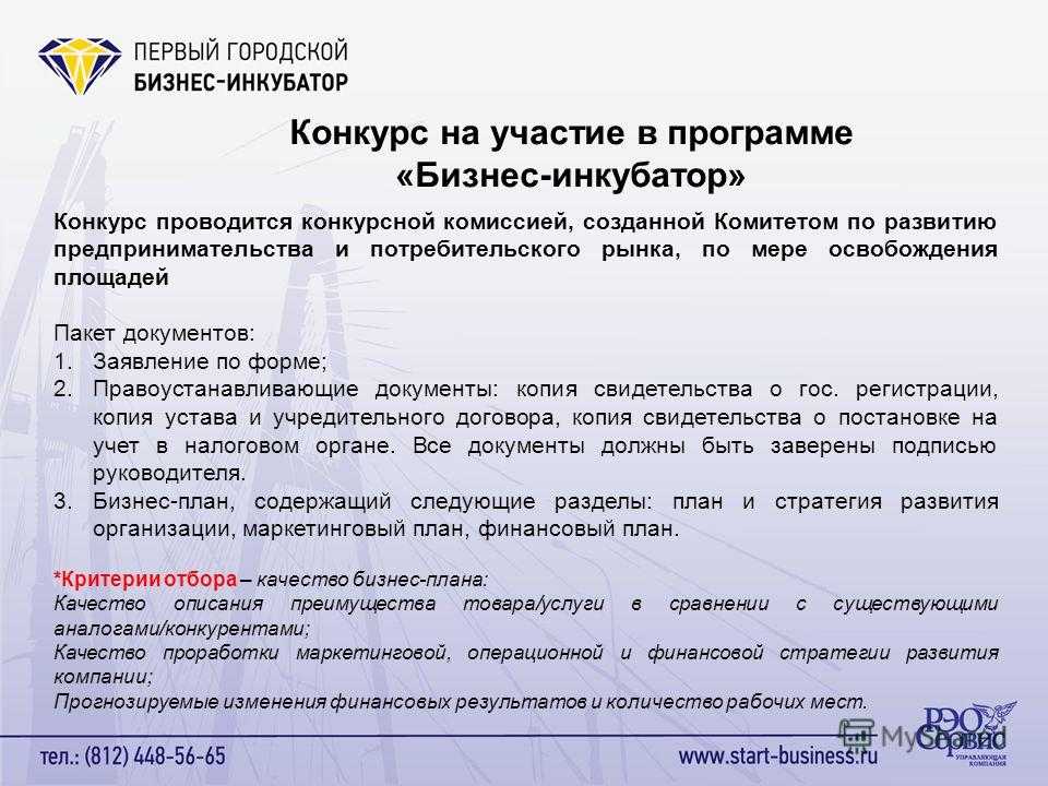 Бизнес проект бизнес инкубатор