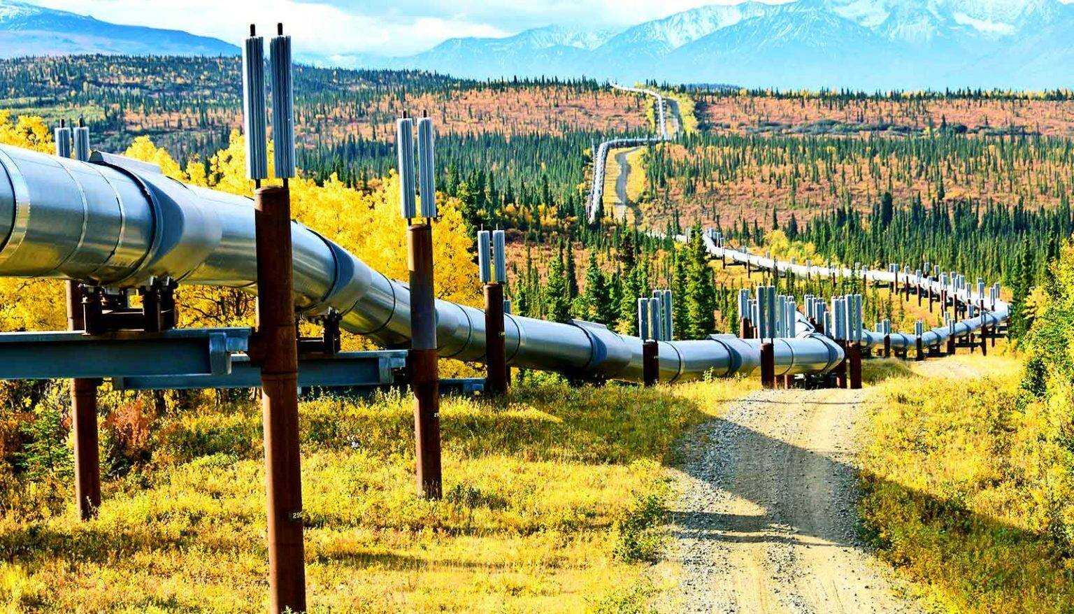 Трасса магистрального трубопровода. Трансаляскинский магистральный нефтепровод. Транс Аляска. Трубы для магистральных нефтепроводов. Лупинг газопровода что это.