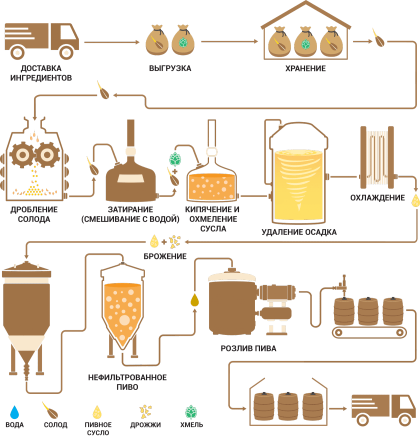 Что нужно для производства. Схема производства нефильтрованного пива. Схема производства пивного сусла. Технологическая схема производства нефильтрованного пива. Технология производства пива схема.