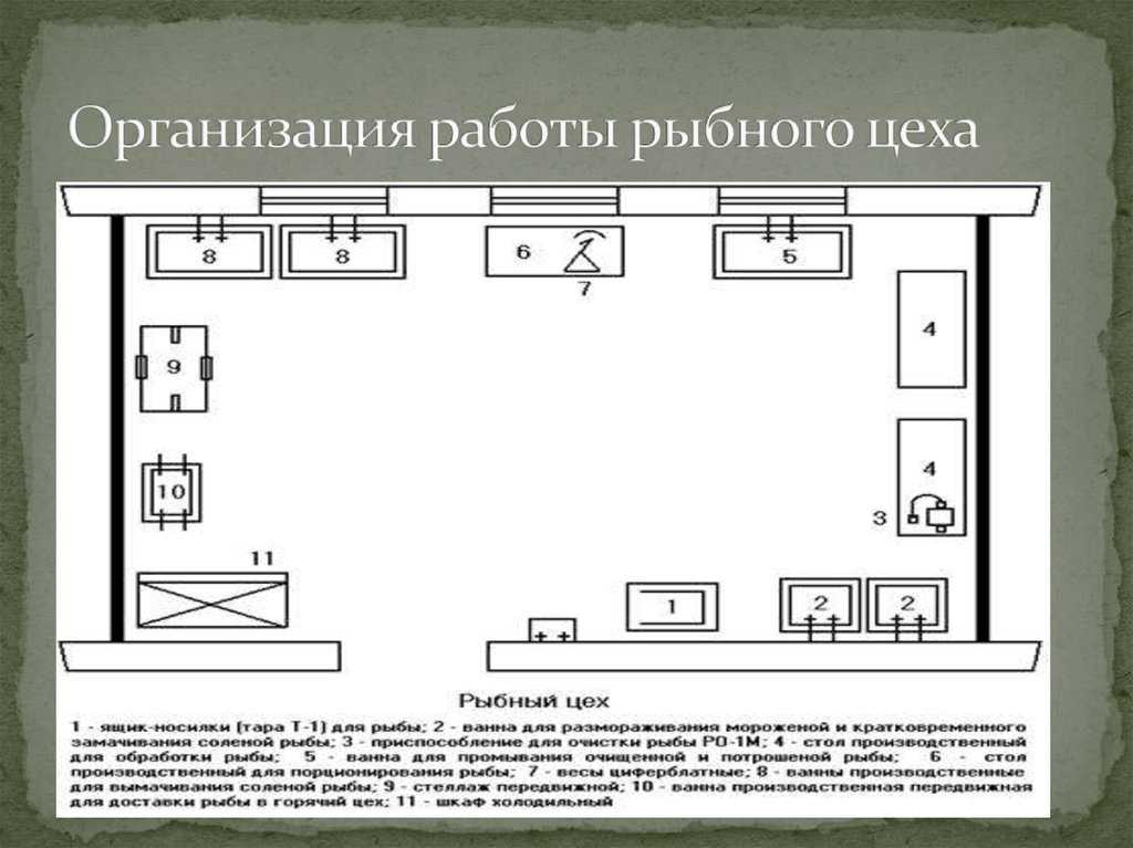 Схема мясо рыбного цеха с расстановкой оборудования и описанием