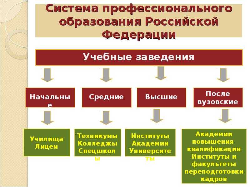 Какие дипломы нравятся работодателям?