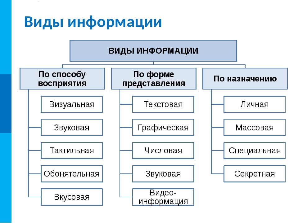 Умения самостоятельно создавать таблицы и схемы для предоставления информации относятся