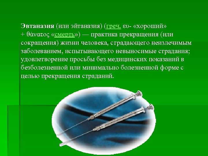 Сочинение на тему эвтаназия убийство или милосердие