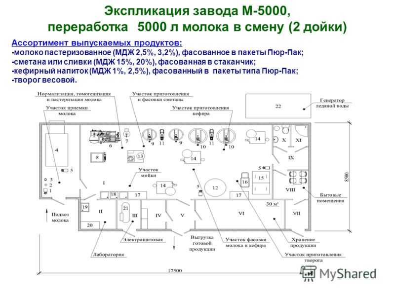 Бизнес план по производству сыра с расчетами