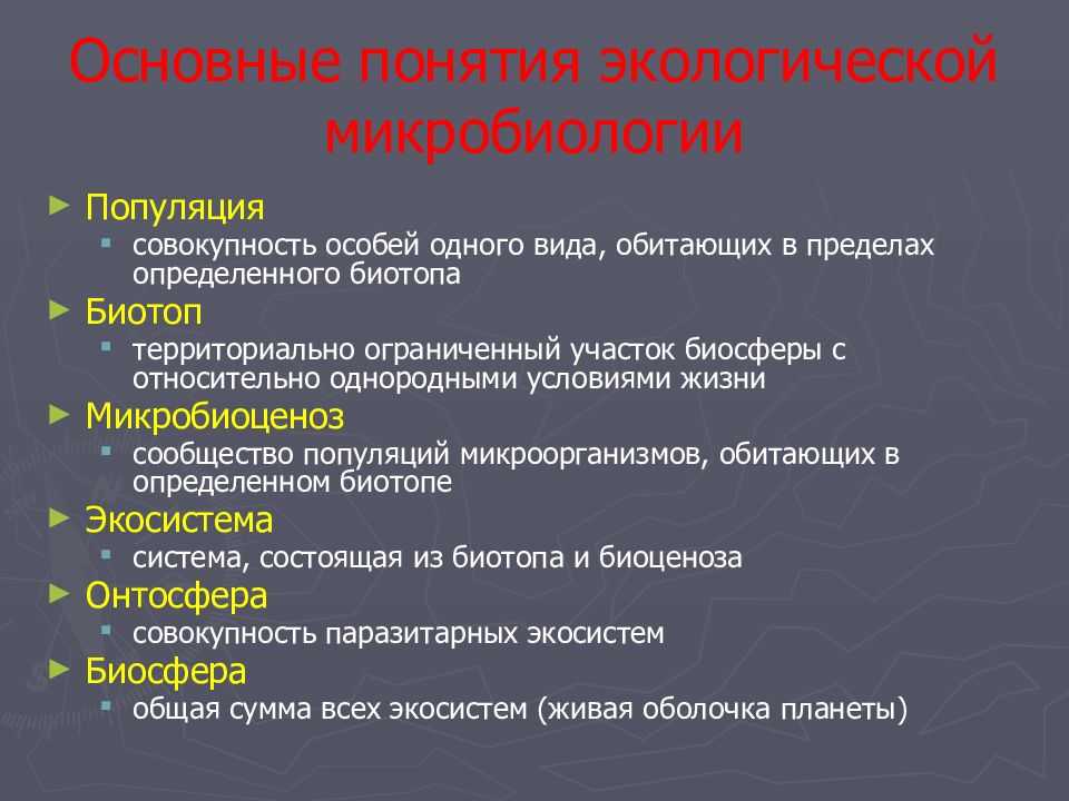 Основные понятия экологии презентация