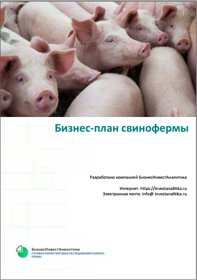 Бизнес план по разведению свиней в домашних условиях с расчетами