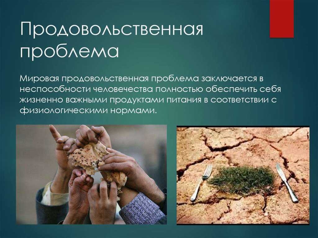 Сельское хозяйство по росстат: структура, отрасли, продукция