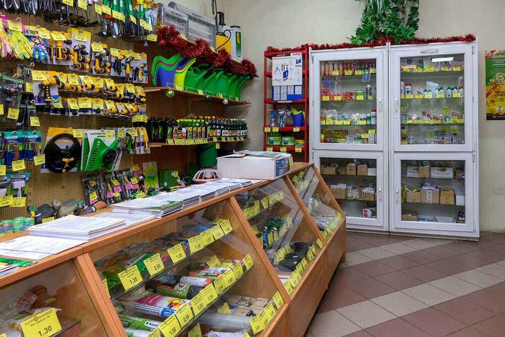 Как открыть магазин продуктов с нуля: бизнес-план, расчет рентабельности, советы