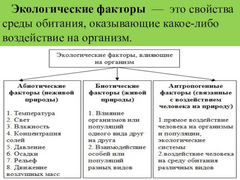 Схема экологические факторы среды обитания