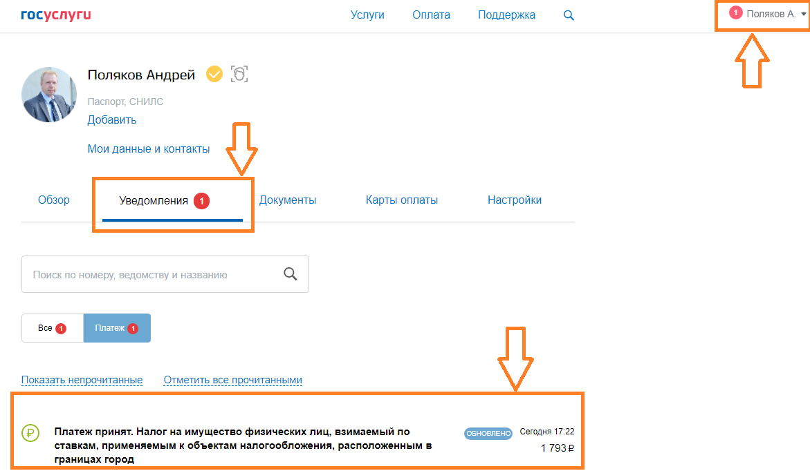 Как оплатить через госуслуги