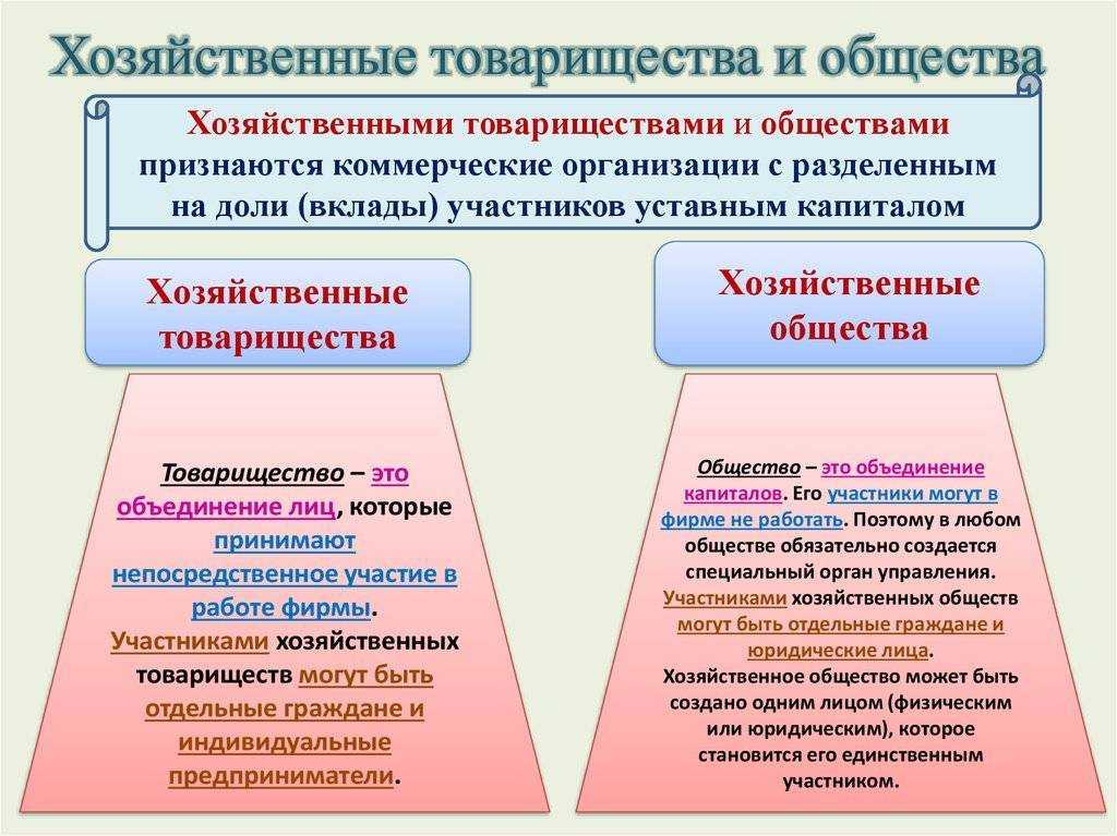 Хозяйственные общества схема